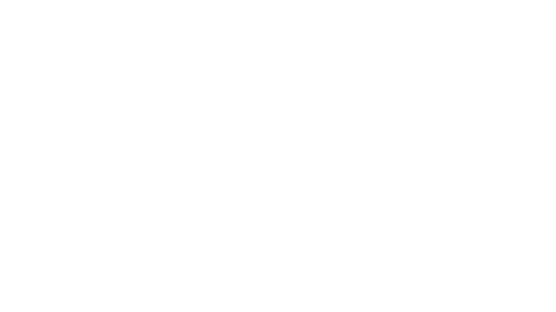 FORENSIC STRATEGIC GROUP
