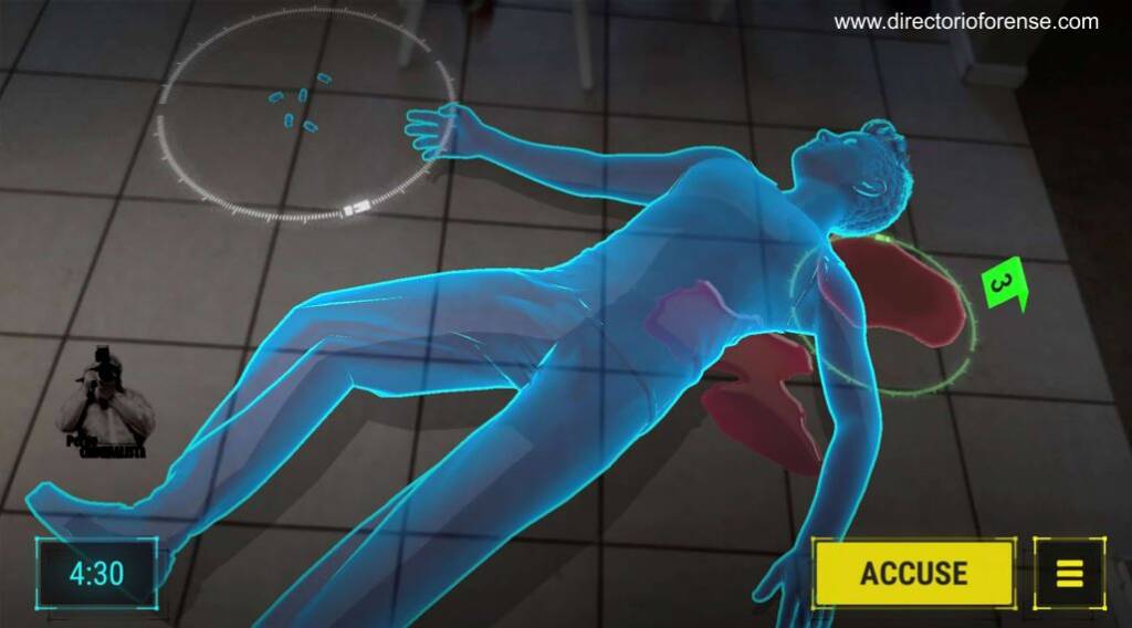 IA, Análisis de Enlaces y Reconstrucciones Forenses